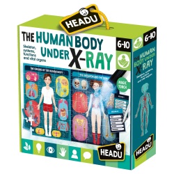 HEADU: Ľudské telo pod röntgenom (puzzle hra)